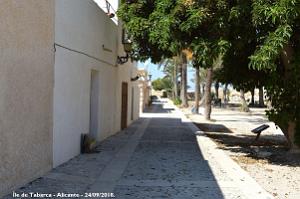 21 ALICANTE L ILE DE TABARCA (101)